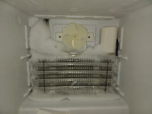 Evaporator coils cleared of ice on Blomberg built-in refrigerator after manual defrost service