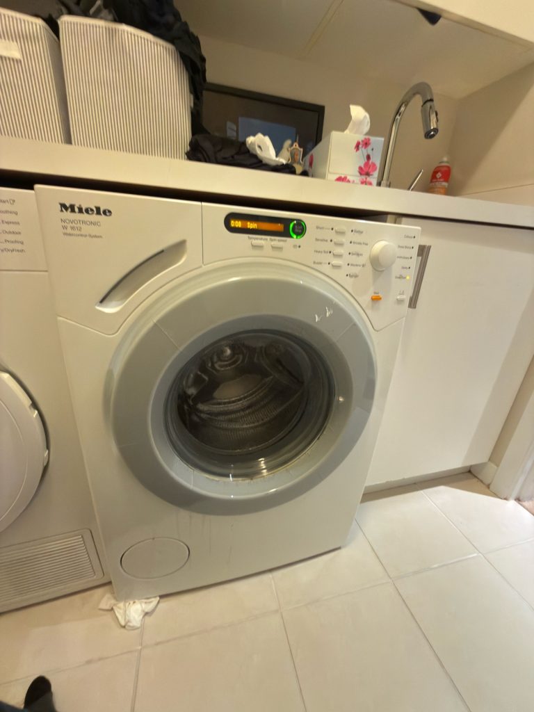 Missing gasket ring on the front of the Miele W1612 door seal, the second of two secondary findings on the door integrity