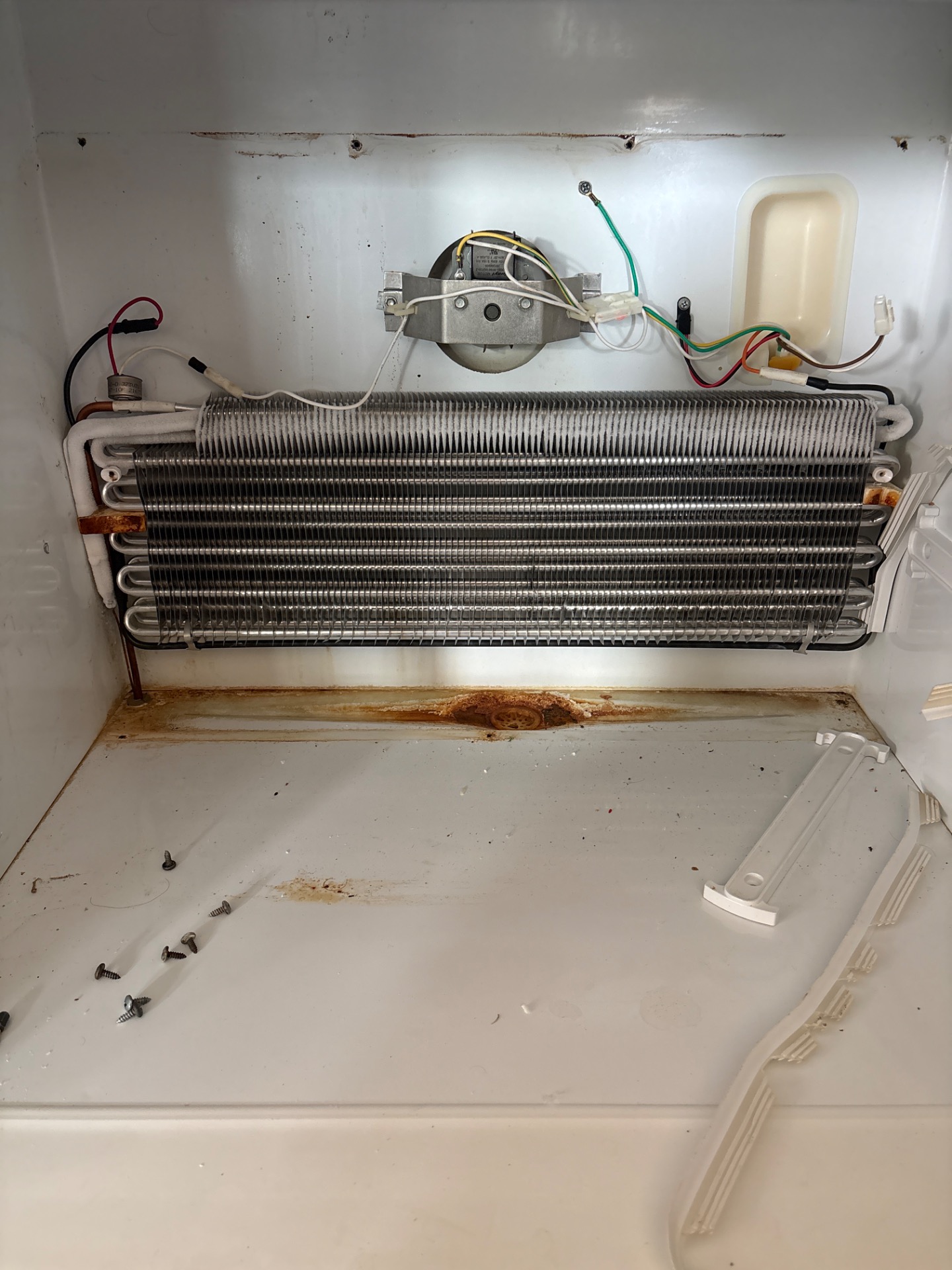Frigidaire refrigerator evaporator compartment opened during thermistor and control board diagnosis by TechVill in Aspen Woods, Calgary