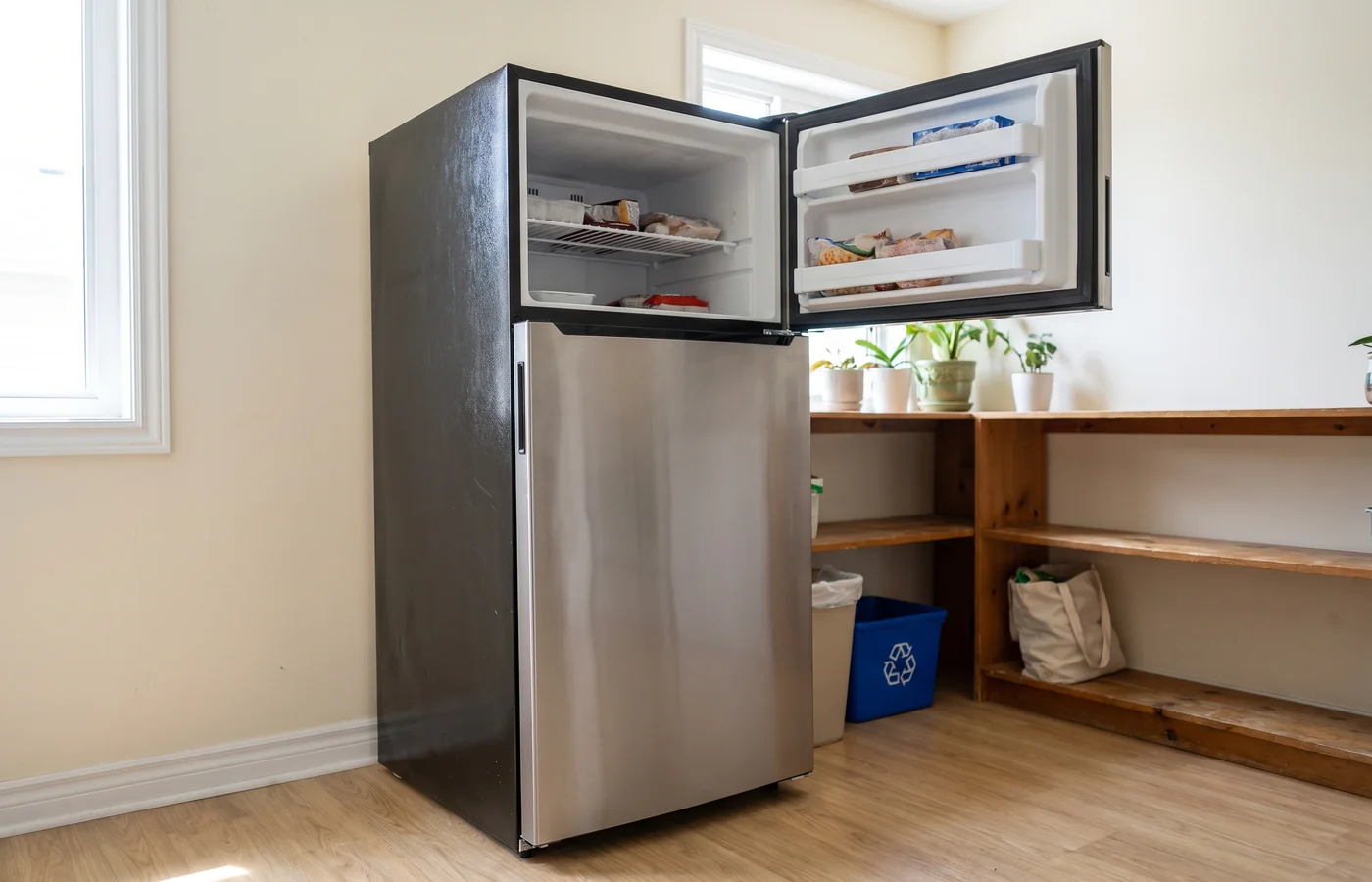 Freezer fridge in a Canadian kitchen